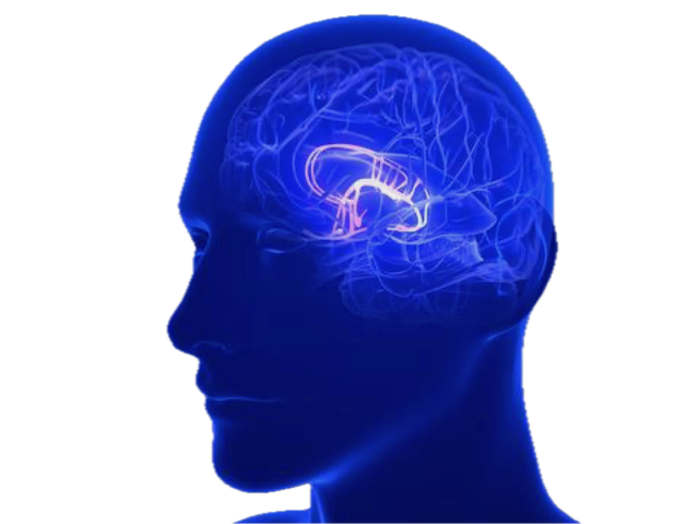 Wall Street titan Morgan Stanley is the latest to sack 2,500